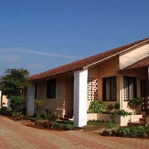 Vamoose Green Valley Amboli